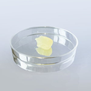 ZLEY®PE910-HOLELLIA from ZLEY Group